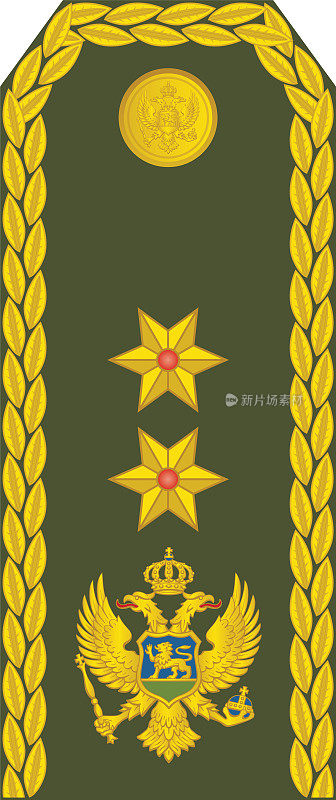 黑山将军(MAJOR GENERAL)的肩垫军官徽章